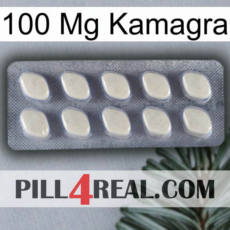 100Mg Kamagra 08